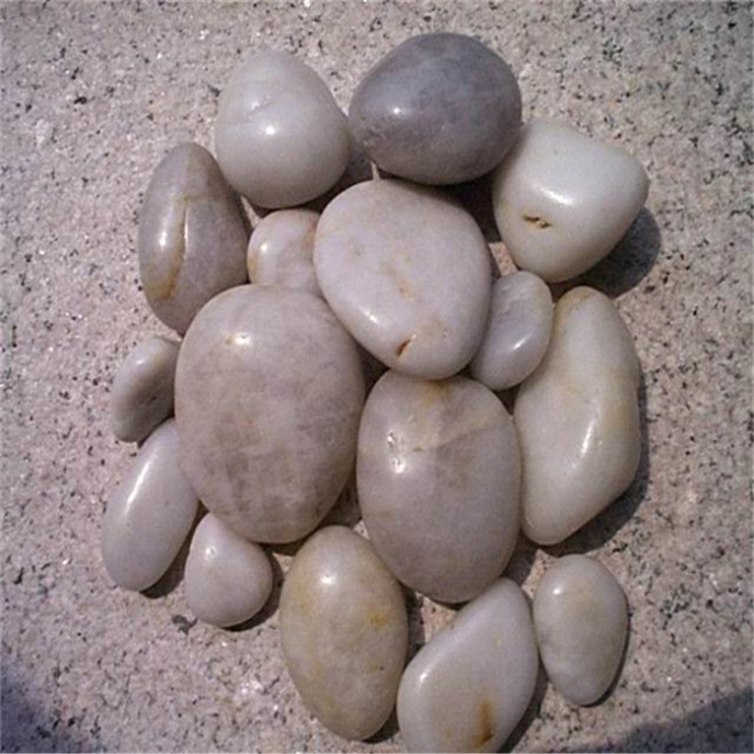 white pebble-10