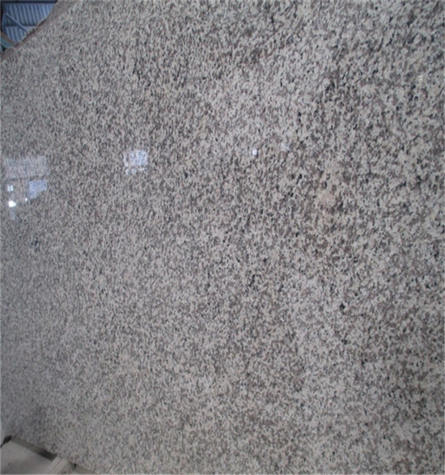 polished tiger skin white granite