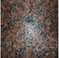 G562 maple red flamed